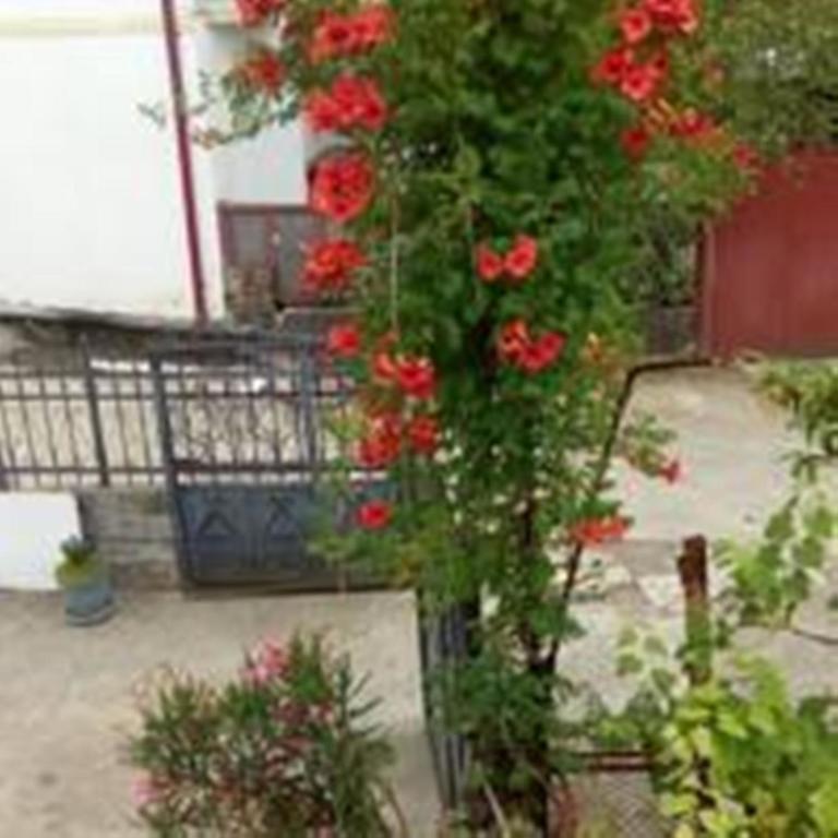 Guest House Quiet Home Batumi Bagian luar foto